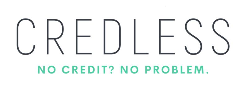 CredLess – AI-Powered Credit Risk Analyzer